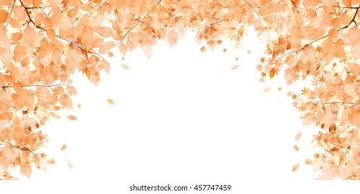 Autumn leaves autumn landscape background
