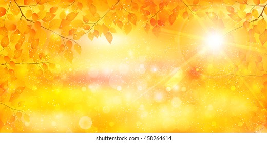 Autumn leaves autumn landscape background