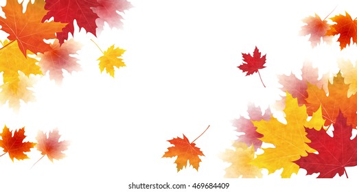 Autumn leaves autumn landscape background