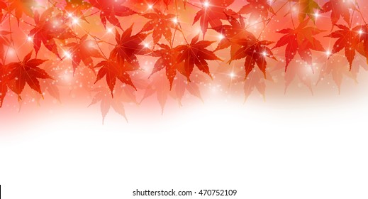 Autumn leaves autumn landscape background