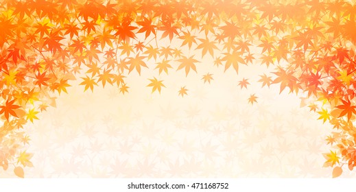 Autumn leaves autumn landscape background