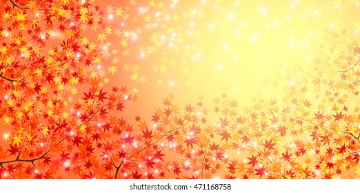Autumn leaves autumn landscape background