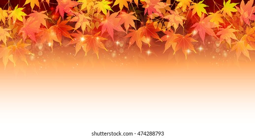 Autumn leaves autumn landscape background