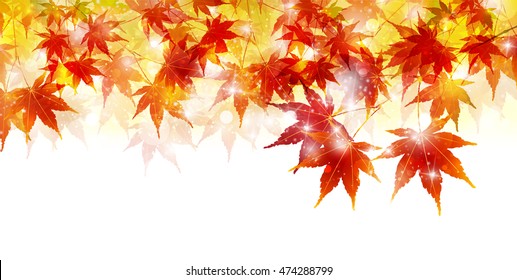 Autumn leaves autumn landscape background