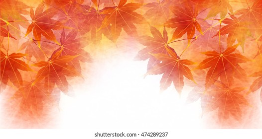 Autumn leaves autumn landscape background