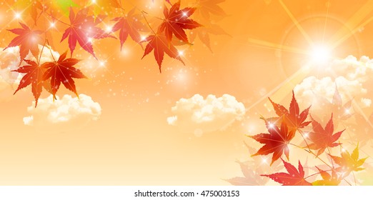 Autumn leaves autumn landscape background