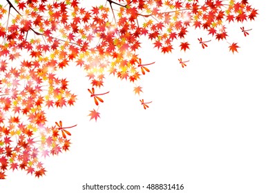 Autumn leaves autumn landscape background