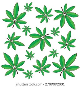 Autumn leaves. autumn leaf. autumn leaves background vectoor cartoon illustration