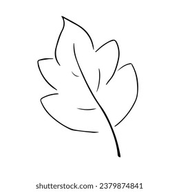 AUTUMN LEAVES LEAF FOLIAGE FIGURE LINE VECTOR ICON PATTERN