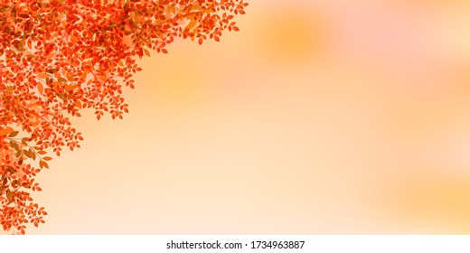Saltos de otoño fondo de la luz de otoño
