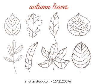 Autumn leaves line art set, isolated on white background. Simple cartoon flat style, vector illustration.