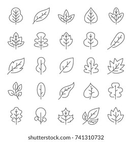 Autumn leaves line icon set