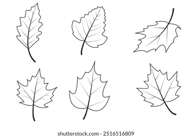 Autumn leaves line icon, vector, silhouette isolated on white background. Fall leaf symbol, Maple, spruce, oak, rowan, birch and more vector leaves isolated on white background.