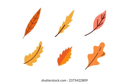 Autumn leaves logo vector image