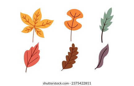 Autumn leaves logo vector image