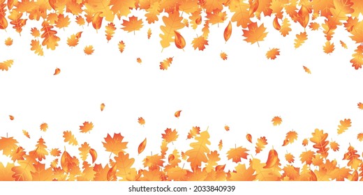 Autumn leaves long border. Fall maple composition. October foliage frame. Oak leaf decor september poster. Orange plant. Thanksgiving day card. Harvest party web banner. Vector illustration.