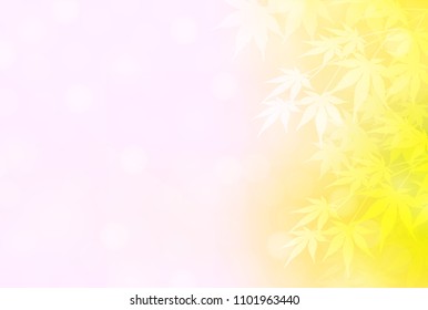 Autumn leaves Maple autumn background