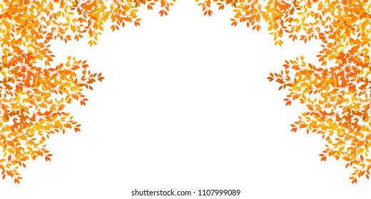 Autumn leaves Maple autumn background