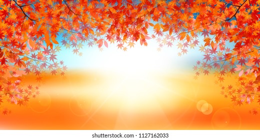 Autumn leaves Maple autumn background