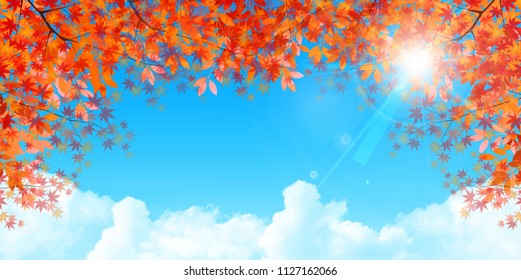 Autumn leaves Maple autumn background