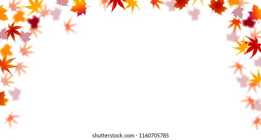 Autumn leaves Maple autumn background