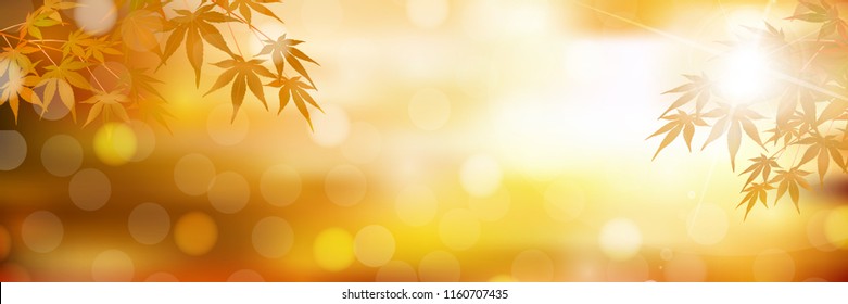 Autumn leaves Maple autumn background