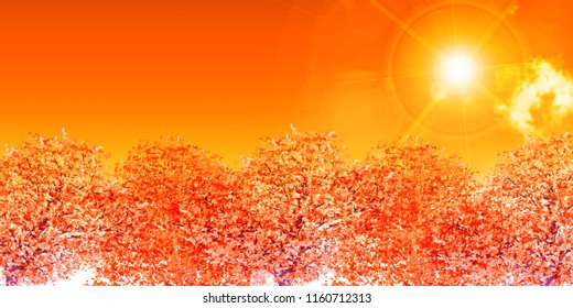 Autumn leaves Maple autumn background