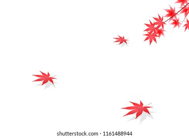 Autumn leaves Maple autumn background