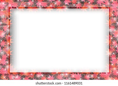 Autumn leaves Maple autumn background