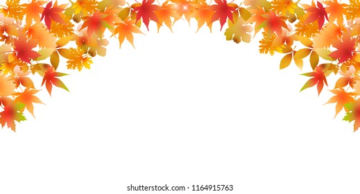 Autumn leaves Maple autumn background