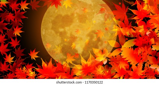 Autumn leaves Maple autumn background