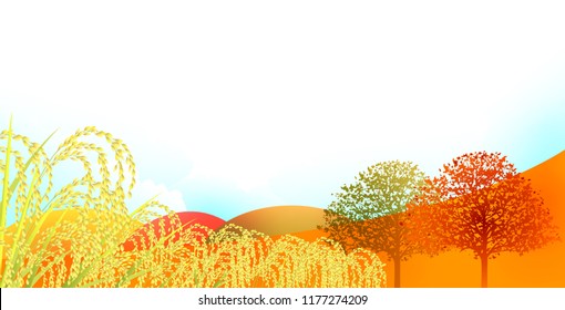 Autumn leaves Maple autumn background