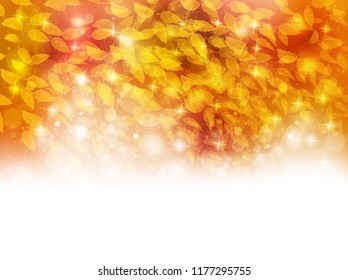Autumn leaves Maple autumn background