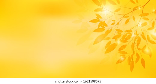 Autumn leaves autumn maple leaves background