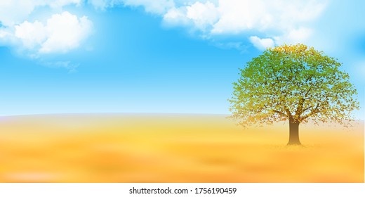 Autumn leaves maple autumn background