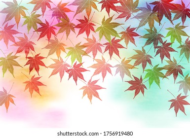 Autumn leaves maple autumn background