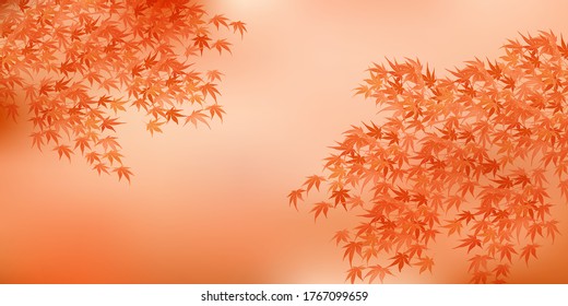 Autumn leaves maple autumn background