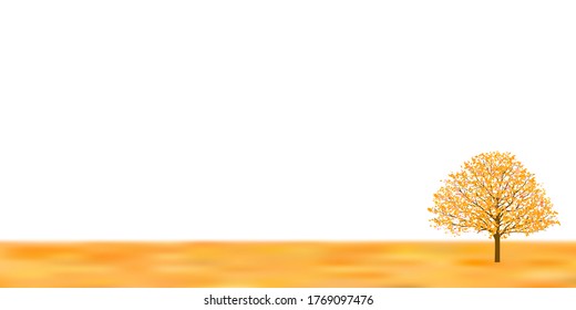 Autumn leaves maple autumn background