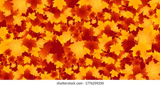 Autumn leaves maple autumn background