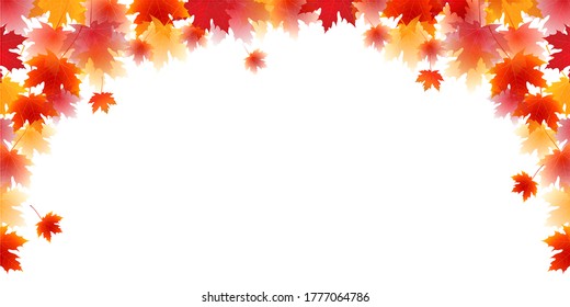 Autumn leaves maple autumn background