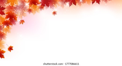 Autumn leaves maple autumn background