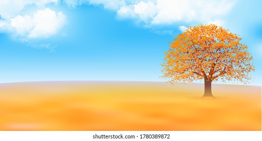 Herbstblätter Ahornherbsthintergrund