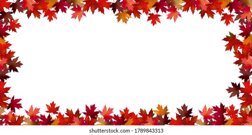 Autumn leaves maple autumn background