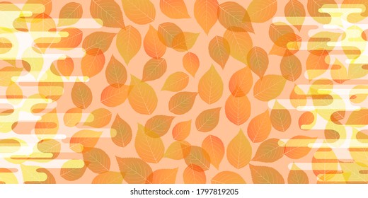 Autumn leaves maple autumn background