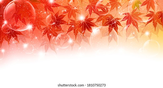 Autumn leaves maple autumn background