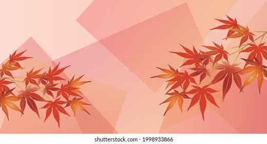 Autumn leaves maple autumn background 
