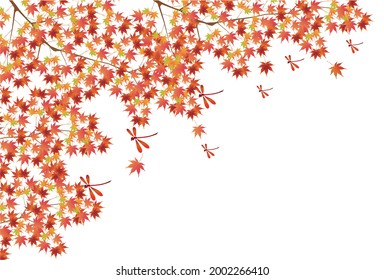 Autumn leaves maple autumn background 