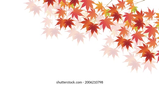 Autumn leaves Maple autumn background 