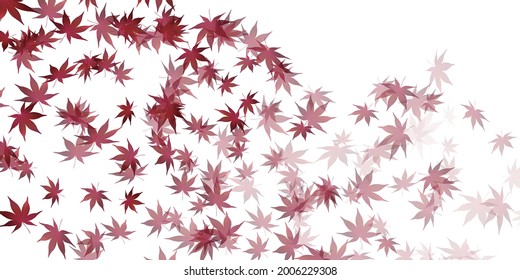 Autumn leaves Maple autumn background 