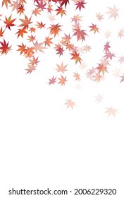 Autumn leaves Maple autumn background 
